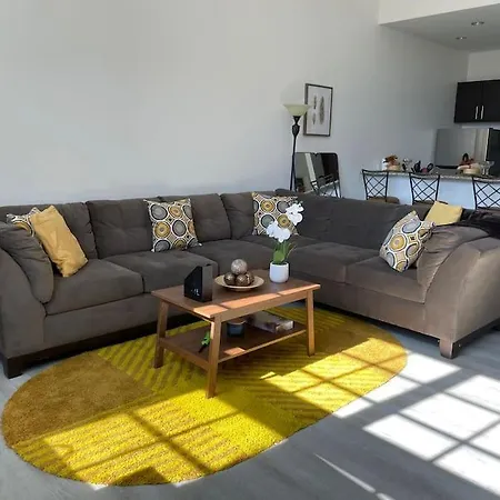 Cozy, High Rise, Large Studio Facing Downtown . Apartment